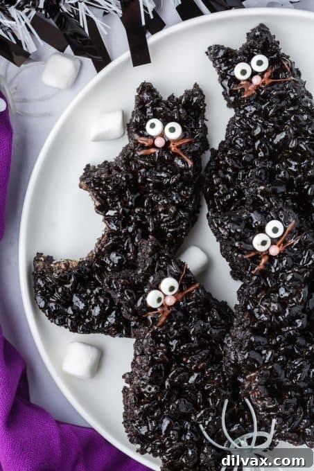 A bite taken out of a Rice Krispie Treat Black Cat.