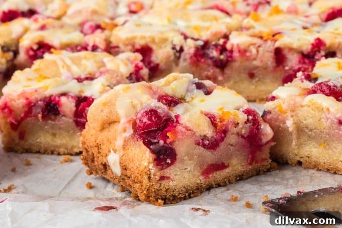 Cranberry Pie Bars