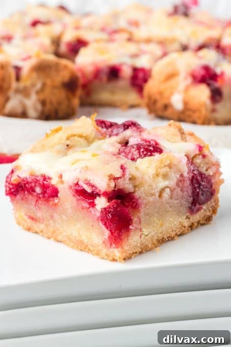 Cranberry Pie Bars