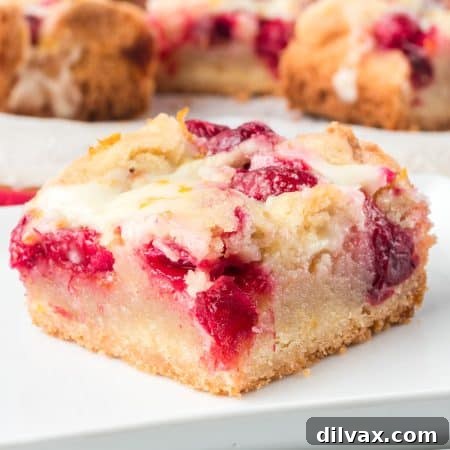 Cranberry Pie Bars