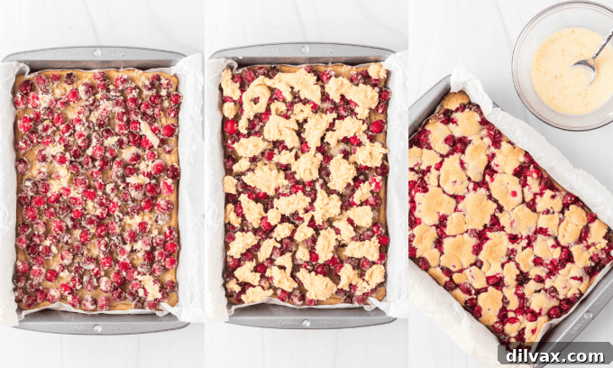 Second set of process photos for Cranberry Pie Bars.