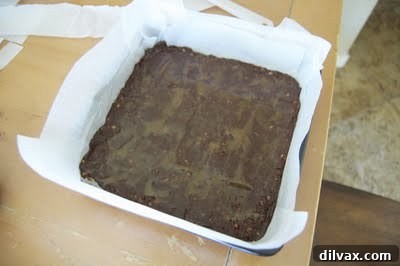 Baked brownies cooling in the pan