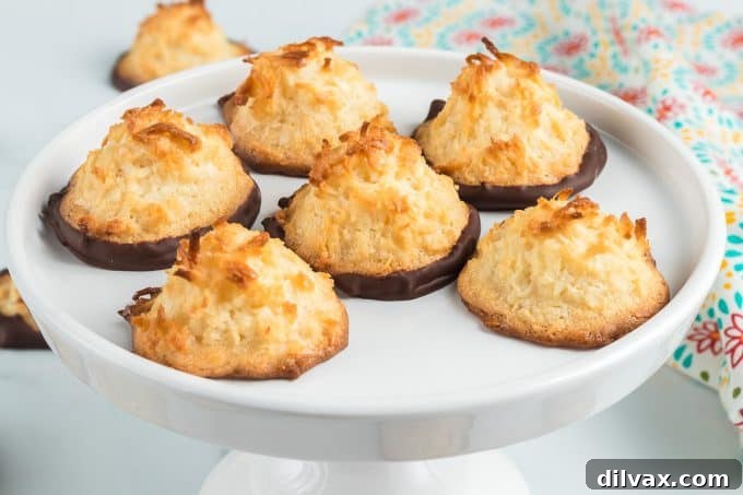 Chewy Coconut Delights 2 Irresistible Coconut Macaroons, perfectly baked with a golden exterior