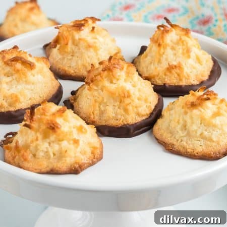 Chewy Coconut Delights 11 Delicious Coconut Macaroons