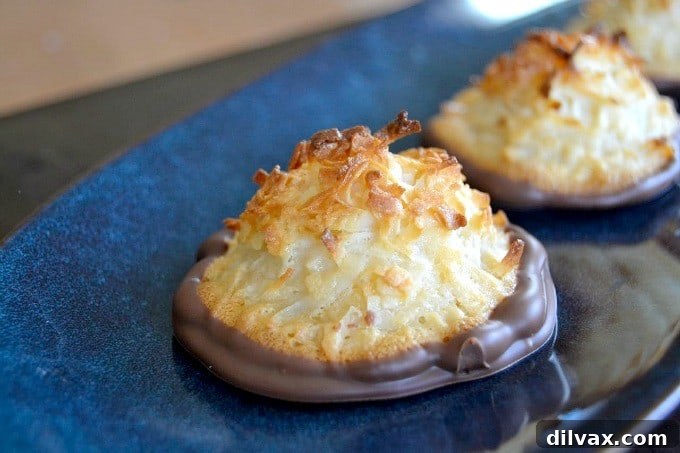 Chewy Coconut Delights 12 Sweet and chewy coconut macaroons, a timeless dessert