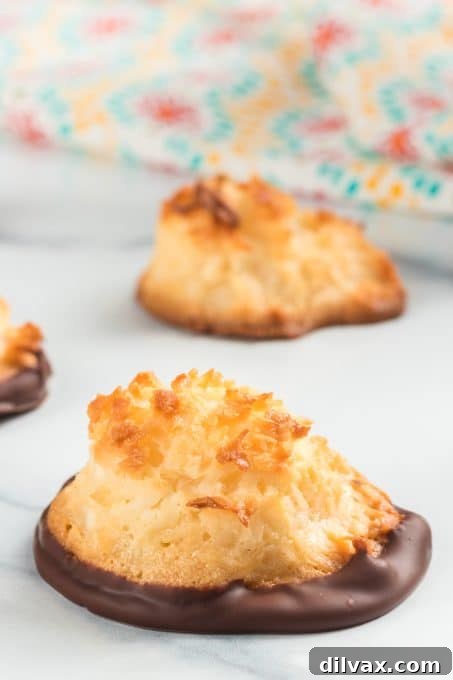 Chewy Coconut Delights 3 A close-up of a perfectly dipped chocolate coconut macaroon