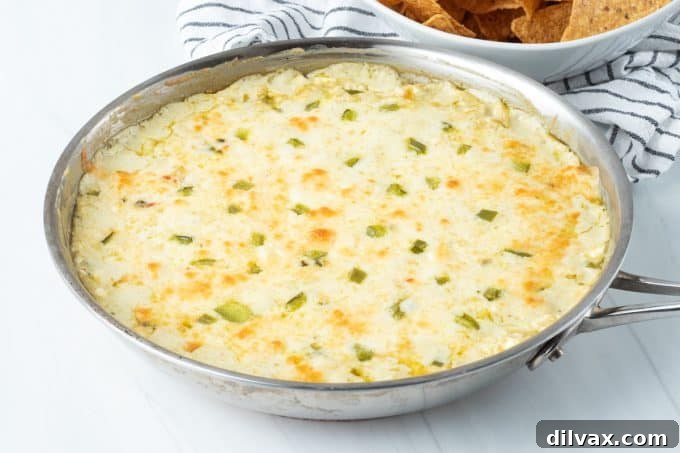 Loaded Chicken Enchilada Dip 2 Savory Chicken Enchilada Dip, perfect for parties and game days.
