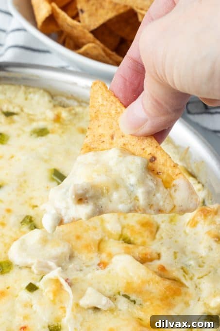 Loaded Chicken Enchilada Dip 3 Close-up of baked Chicken Enchilada Dip, ready to serve.