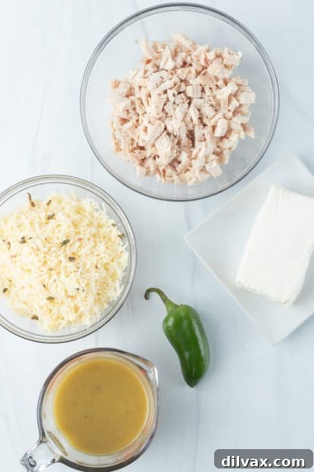 Loaded Chicken Enchilada Dip 4 Fresh ingredients laid out for making Chicken Enchilada Dip.