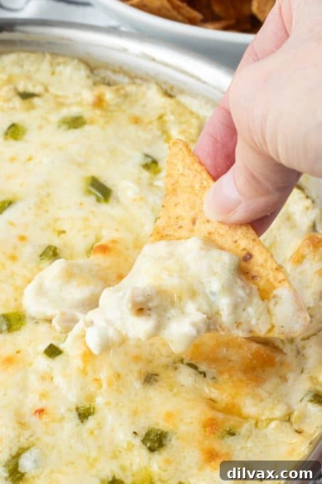 Loaded Chicken Enchilada Dip 6 Hot chicken dip with melted cheese, enchilada sauce, jalapeno, and green chiles.