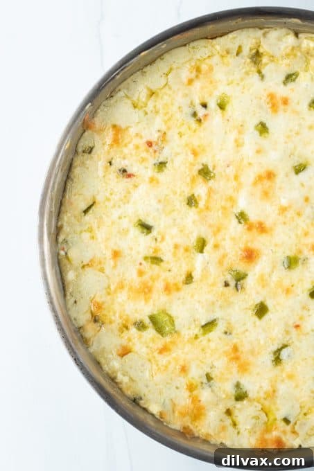 Loaded Chicken Enchilada Dip 7 A close-up of the cheesy texture of the enchilada dip with jalapenos and chiles.