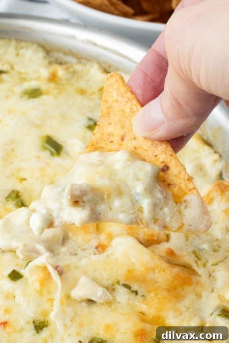 Loaded Chicken Enchilada Dip 8 Dipping a tortilla chip into a cheesy chicken enchilada dip.