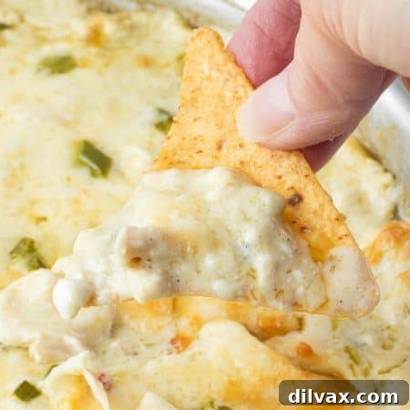Loaded Chicken Enchilada Dip 9 Dipping into a cheesy enchilada dip with chicken.