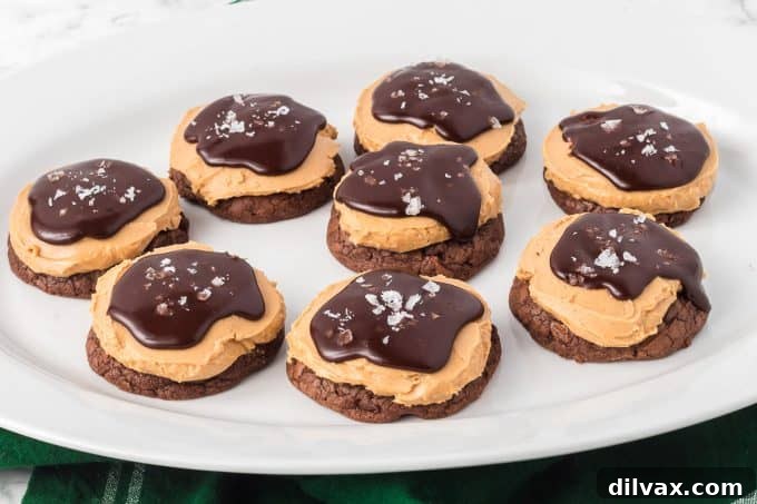 Classic Buckeye Cookies featuring a rich brownie base, creamy peanut butter layer, and glossy chocolate ganache.