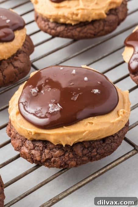 Up-close view of a Buckeye Cookie, highlighting its distinct layers: chewy brownie, soft peanut butter, and smooth chocolate ganache.