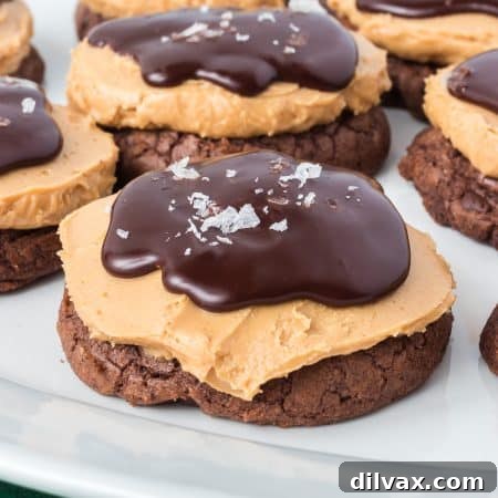 A Buckeye peanut butter and chocolate brownie cookie, ready to be enjoyed.