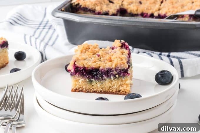 Delicious Blueberry Crumb Cake slice on a plate, ready to be enjoyed.