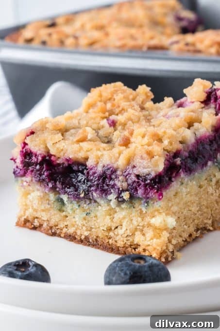 Another perspective of the Blueberry Crumb Cake, highlighting its height and crumb texture.