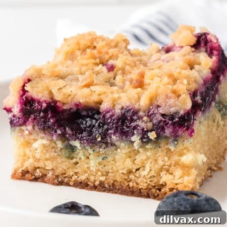 Blueberry Crumb Cake