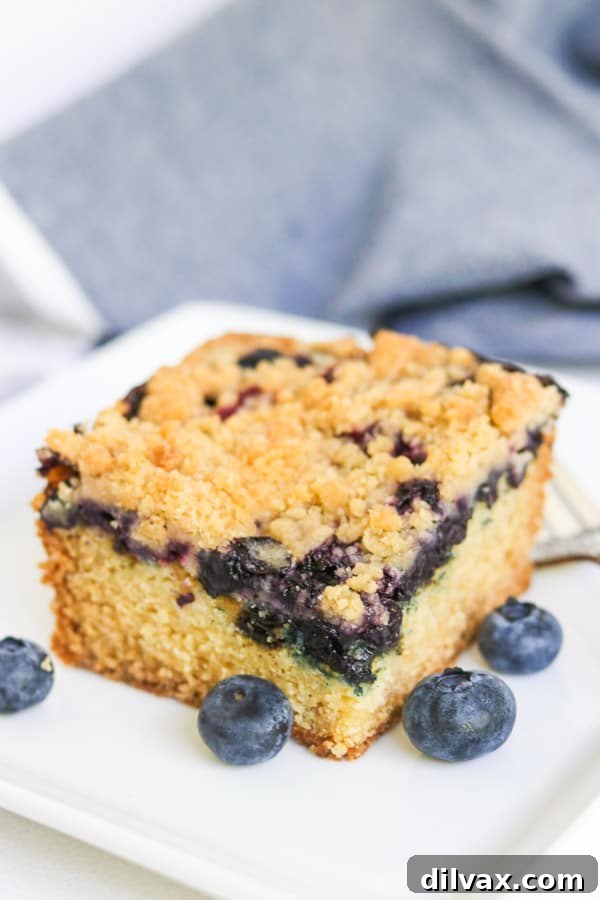 A beautifully presented slice of Blueberry Crumb Cake, ready to be served.