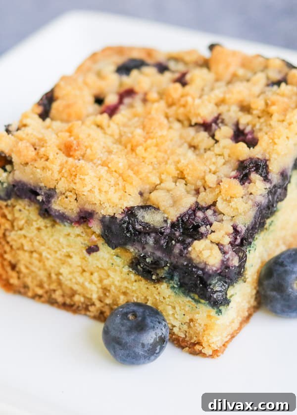 Close-up of the crumb cake showing fresh blueberries and a generous crumb topping.