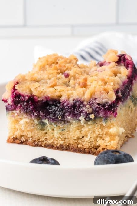 Close-up of a rustic-style Blueberry Crumb Cake, showcasing the golden streusel and berries.