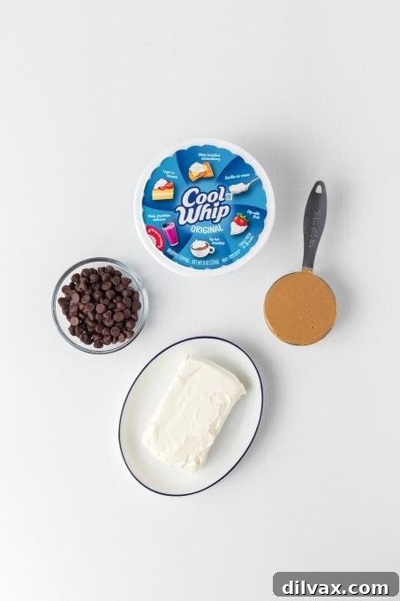 Luscious Chocolate Peanut Butter Fruit Dip 4 Key ingredients laid out for making Chocolate Peanut Butter Fruit Dip.