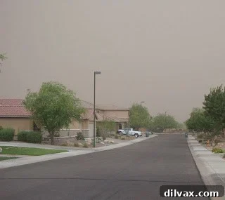 The haboob fully arrived, strong winds and dust everywhere
