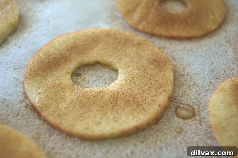 Baked cinnamon apple slices, similar to the pear recipe.