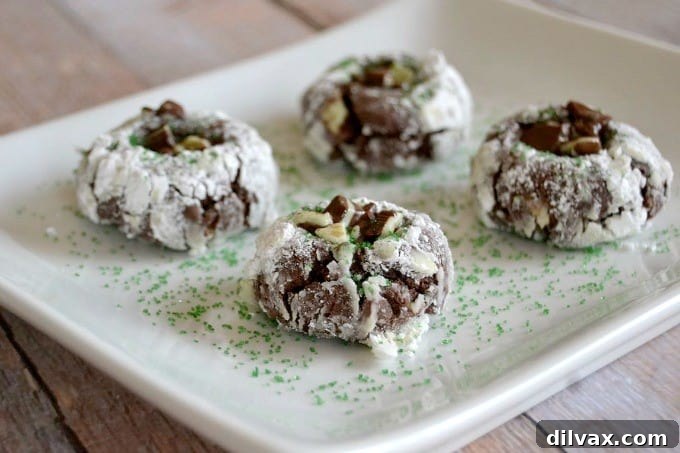 Crinkled chocolate cookies with a hint of mint, dusted with powdered sugar.