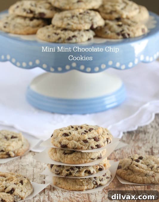 Small, bite-sized mint chocolate chip cookies, perfect for snacking.