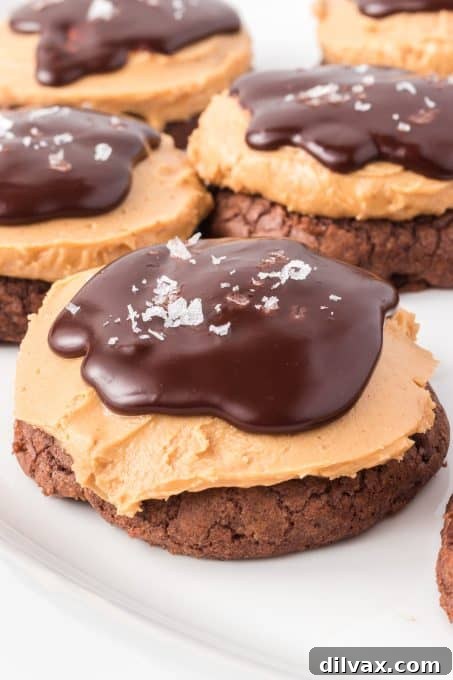 A Dozen Delights: Cookies of 2025 11 Buckeye Cookies with chocolate and peanut butter layers.