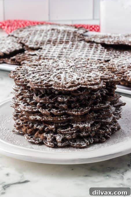 A Dozen Delights: Cookies of 2025 13 Delicate Chocolate Pizzelle cookies.