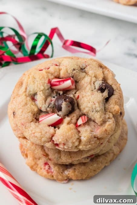 A Dozen Delights: Cookies of 2025 3 Close-up of Candy Cane Peppermint Cookies with chocolate chips.