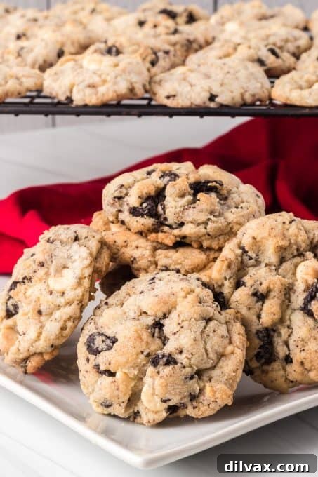 A Dozen Delights: Cookies of 2025 7 White Chocolate Chip and Oreo Cookies stacked on a plate.