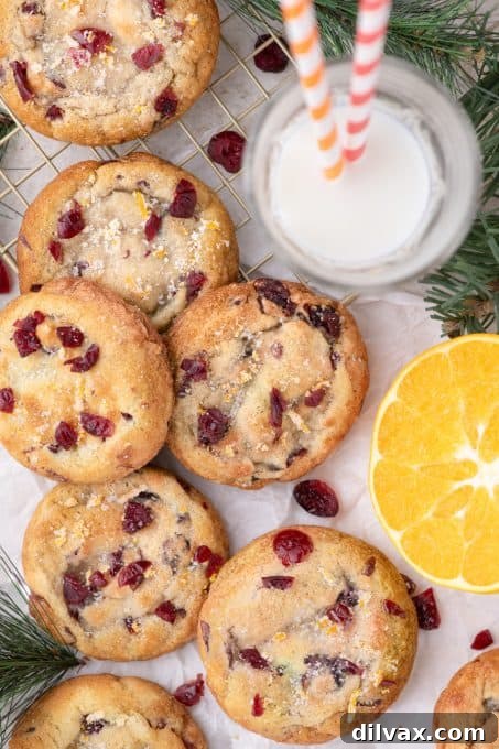 A Dozen Delights: Cookies of 2025 9 Freshly baked Cranberry Orange Cookies with sugared orange zest.