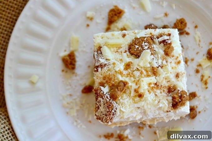 Biscoff Cookie Spread, White Chocolate Pudding and crushed Biscoff Cookies make these NO BAKE bars a dream!