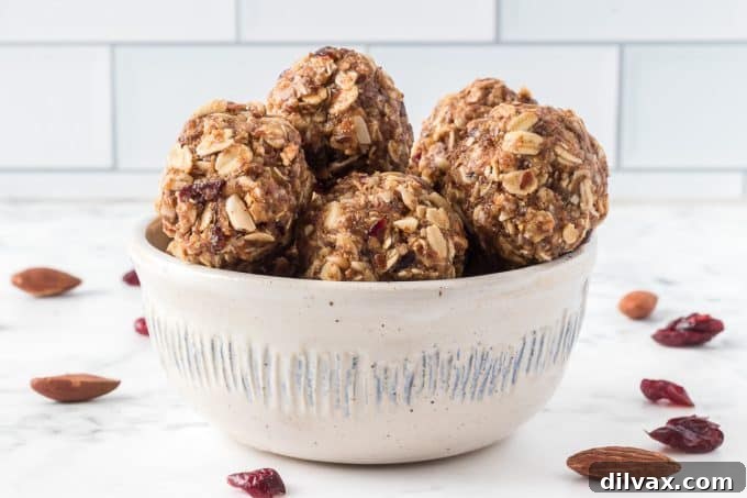 Wholesome Power Pops 2 Delicious and healthy No-Bake Energy Bites, perfect for a quick snack.