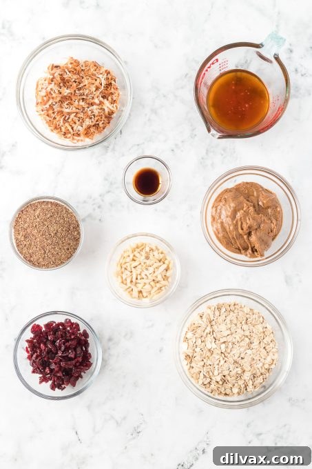 Wholesome Power Pops 4 The essential ingredients for making healthy No-Bake Energy Bites.