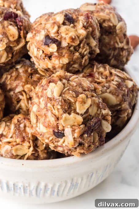 Wholesome Power Pops 9 A variety of delicious No-Bake Energy Bites.