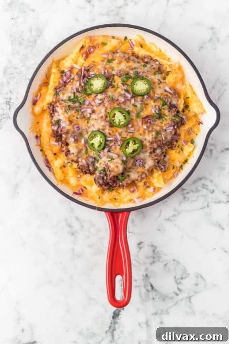 A vibrant platter of Chili Cheese Fries, garnished with fresh cilantro and red onions.