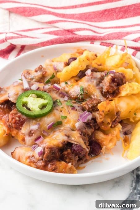 A serving of Chili Cheese Fries, ready to be devoured.