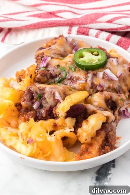A final, mouth-watering shot of Chili Cheese Fries ready to be enjoyed.