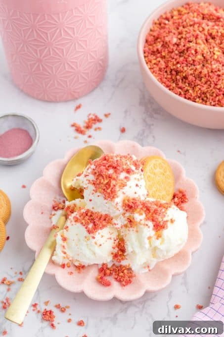 Strawberry Dream Crumble 6 Bowl of vanilla ice cream with generous strawberry crunch topping