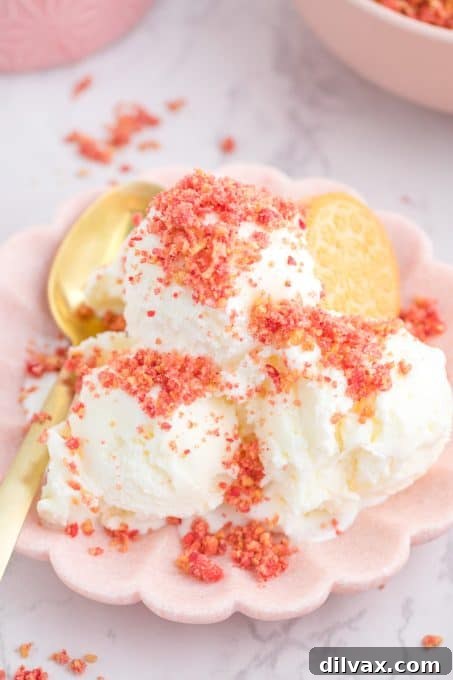 Strawberry Dream Crumble 8 Vanilla ice cream topped with crushed Golden Oreos, freeze-dried strawberries and strawberry gelatin, close-up