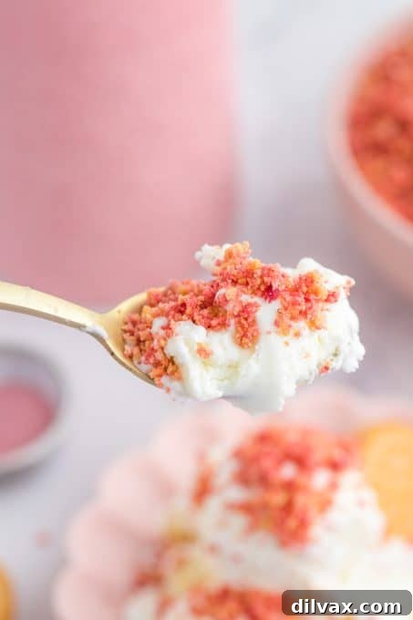 Strawberry Dream Crumble 9 A spoonful of ice cream with strawberry crunch topping, ready to eat