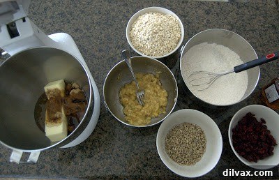 Day 155: Cookies for Breakfast?! 2 Ingredients for Banana Oatmeal Breakfast Cookies on a counter