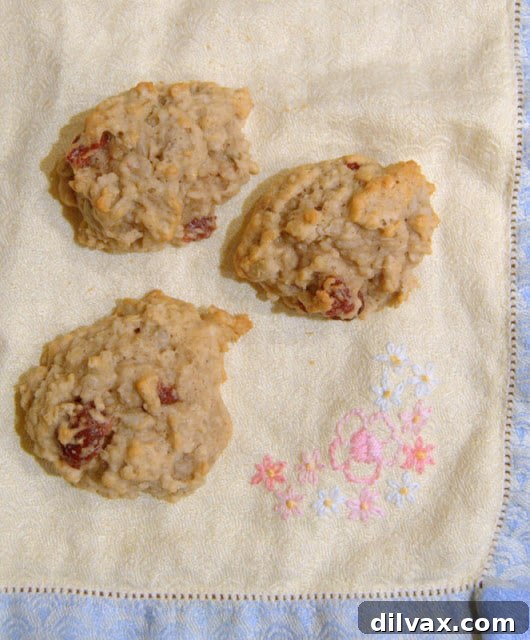 Day 155: Cookies for Breakfast?! 8 Stack of delicious banana oatmeal breakfast cookies