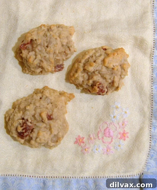 Day 155: Is This What Breakfast Looks Like Now? 7 A stack of delicious banana oatmeal breakfast cookies with cranberries and sunflower seeds.