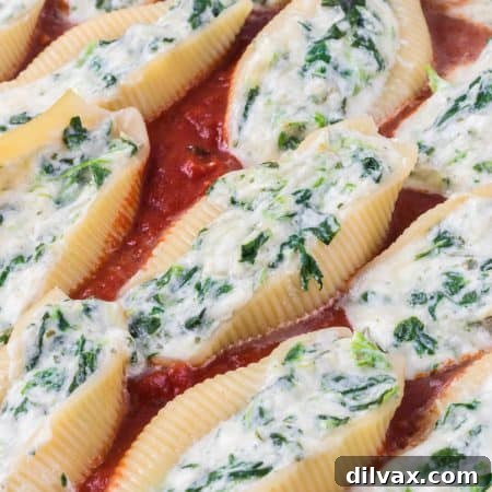 Pasta shells stuffed with ricotta cheese and spinach sitting in a homemade marinara.